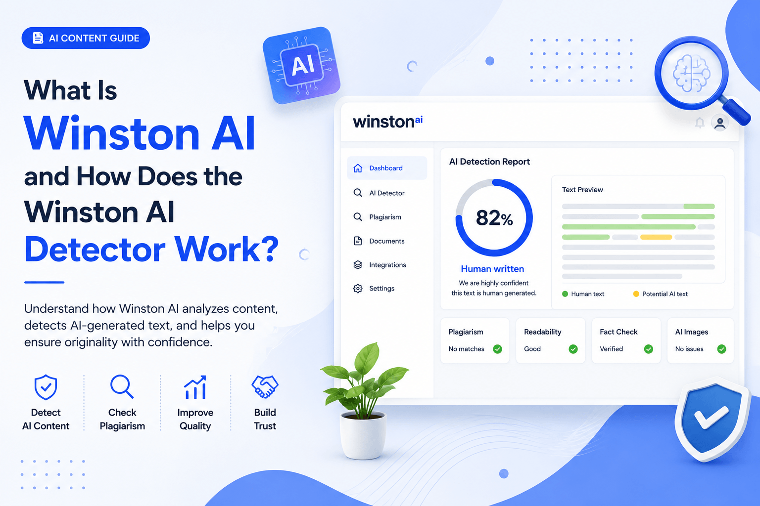 winston ai detector review